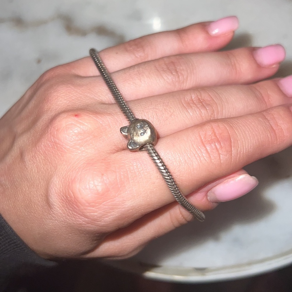 Pandora bracelet